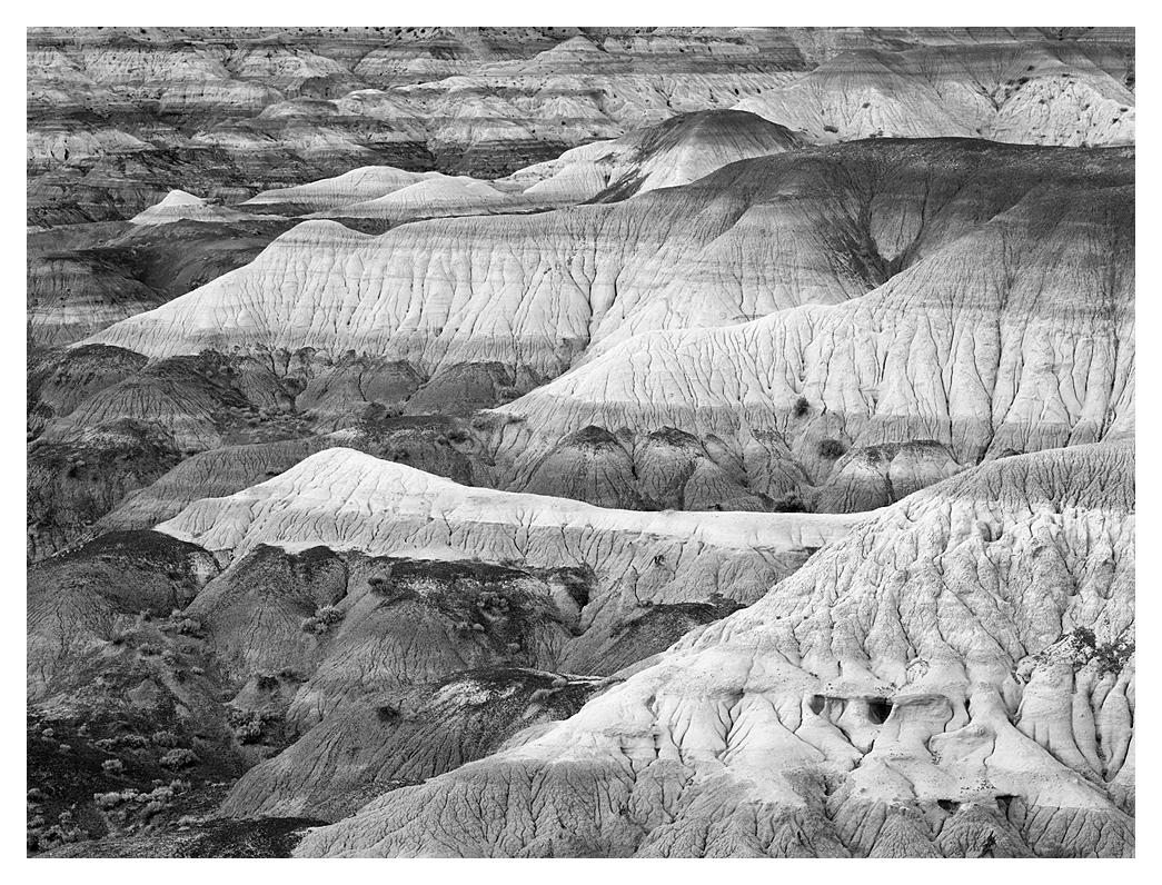 Badlands, Angel Peak, New Mexico, 2011